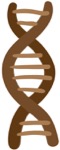 img-button
