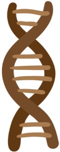 img-button