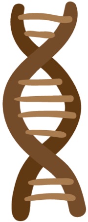 img-button