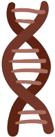 img-button
