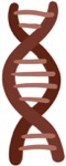 img-button