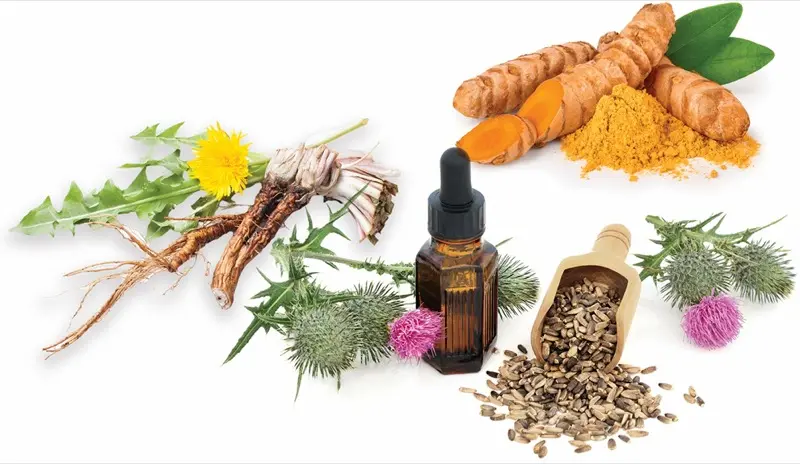 05260316-Liver-Supplements-Tumeric-Dandilion-Thistle-AS 489028754 270098811 349919037
