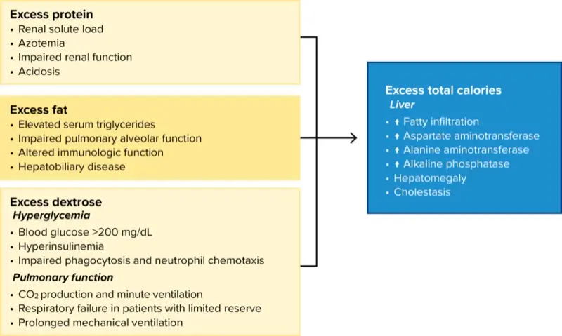 l carnitina plus L Carnitine Injection